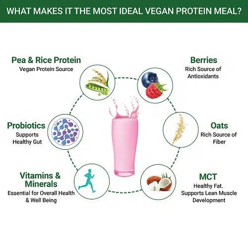 Inlife Vegan Protein Meal Shake Mixed Berry Flavour