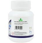 Dr. Jrk's Shallaki Tablets - Distacart