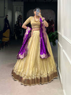 Lorenvalley Cream Erode Plain With Paithani Lace Border Lehenga Choli with Dupatta