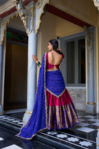 Lorenvalley Pink Narayan Pattu Fabric with Zari Weaving Work Lehenga Choli