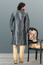 Raivat Ethnic Jacquard Banarasi Silk Pintux Work Kurta Pajama In Grey Colour
