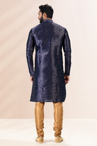 Raivat Ethnic Jacquard Banarasi Silk Pintux Work Kurta Pajama In Blue Colour