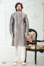 Raivat Ethnic Banarasi Silk Pintux Work Kurta Pajama In Grey Colour