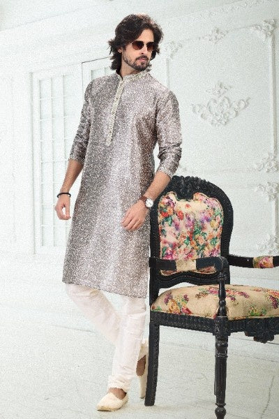 Raivat Ethnic Banarasi Silk Pintux Work Kurta Pajama In Grey Colour