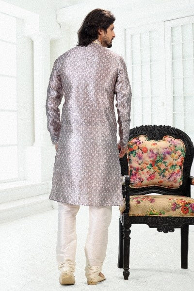 Raivat Ethnic Banarasi Silk Pintux Work Kurta Pajama In Grey Colour