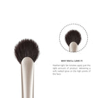 PAC Studio S16 Highlighter Fan Brush - Feather Light Application, Ultra Soft Bristles, Even Application