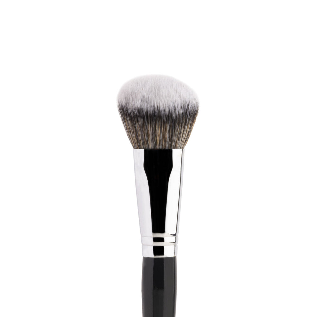 PAC Studio Spotlight Blush and Brush Combo