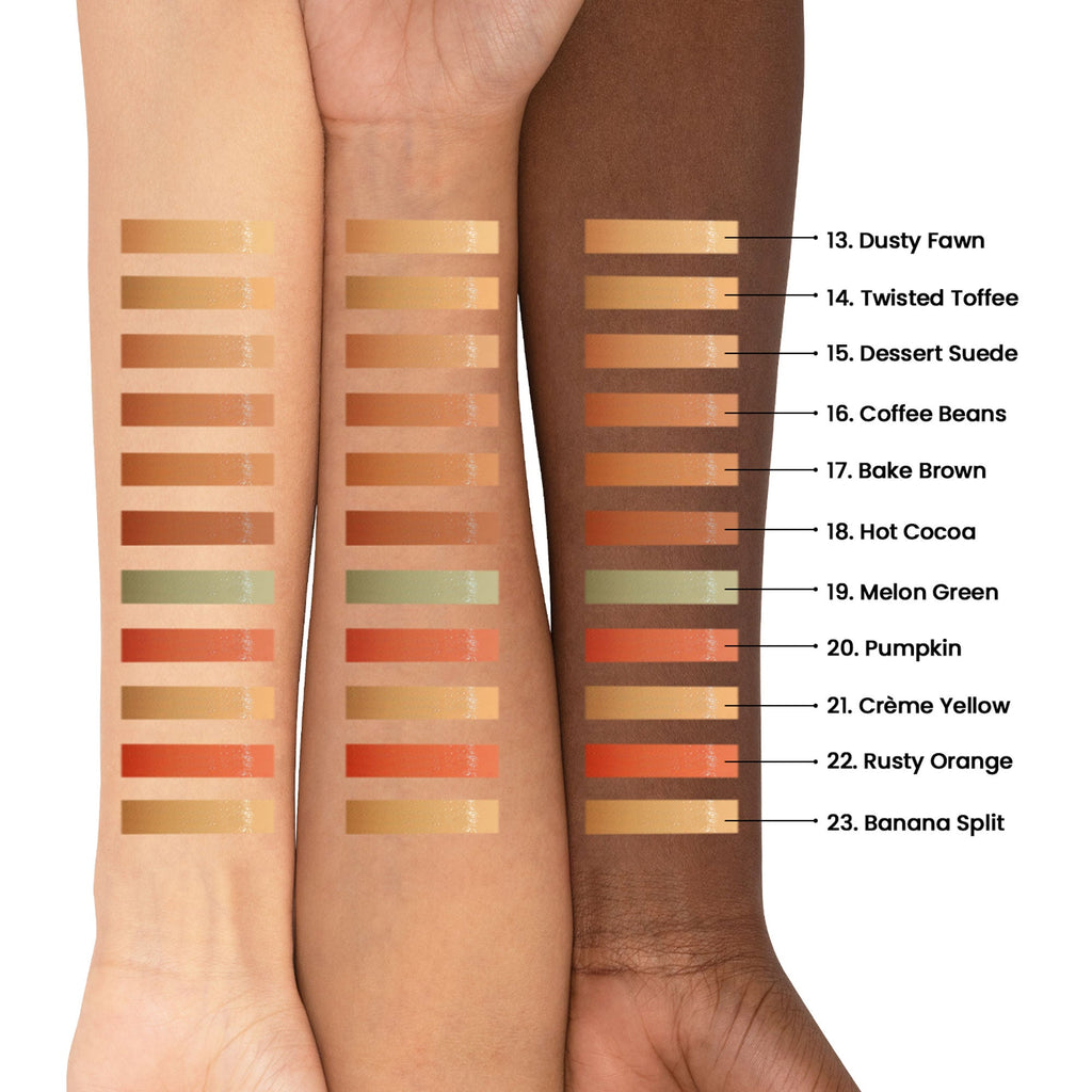 PAC Studio Take Cover Concealer - 13 Dusty Fawn