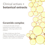 Lotus DermaBotanics 3% Vitamin C Complex + Ceramide Complex UV Aqua Sunscreen Spray SPF 50 + PA++++