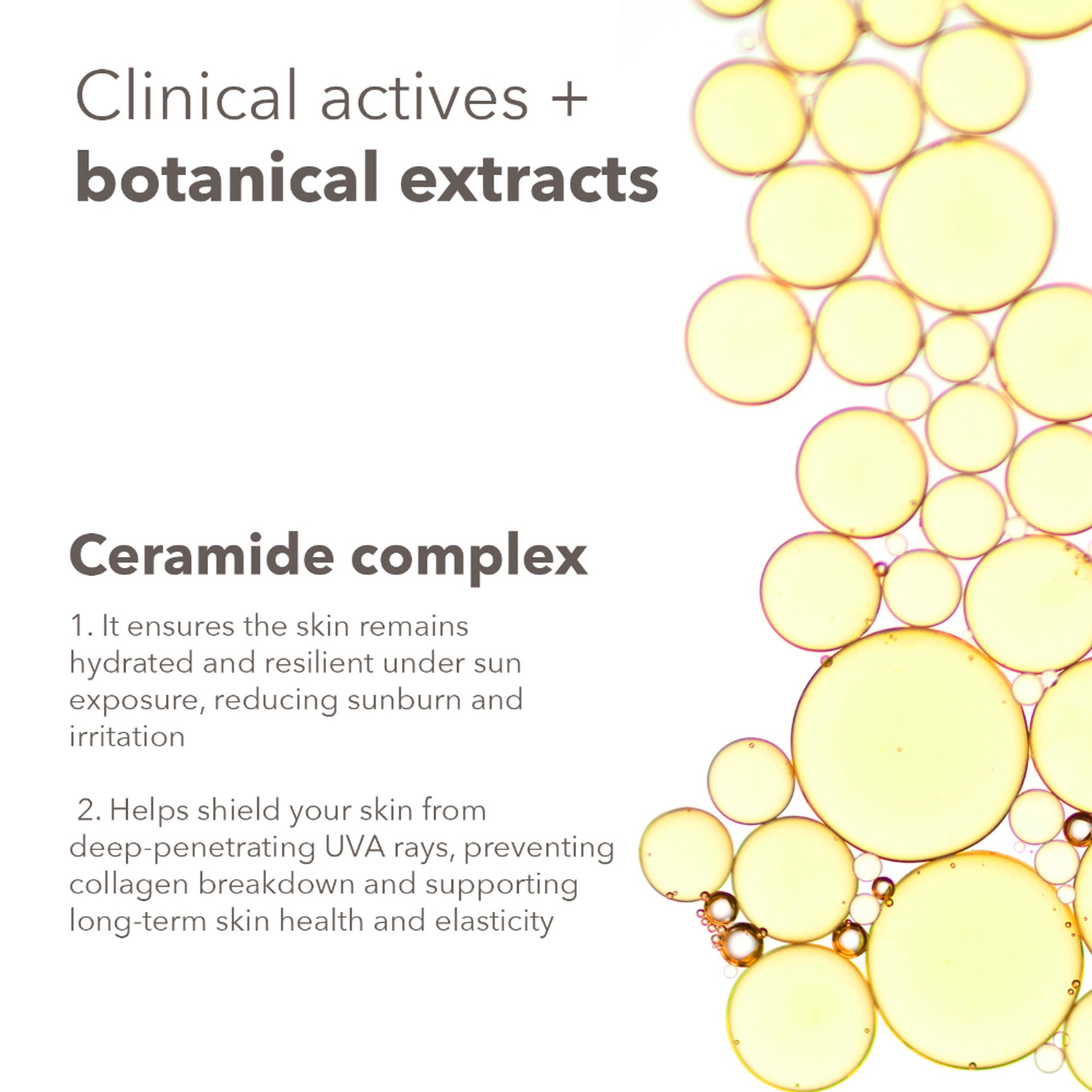 Lotus DermaBotanics 3% Vitamin C Complex + Ceramide Complex UV Aqua Sunscreen Spray SPF 50 + PA++++