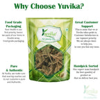 Yuvika Gurmar Leaves - Gudmar Leaves - Gymnema Sylvestre - Periploca Of The Woods