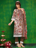 Pakistani Printed Kurta With Pant & Dupatta, Brown - Hiral Fashion