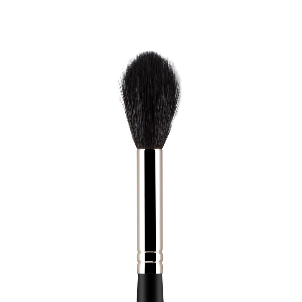 PAC Studio Highlighter Brush 154