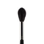 PAC Studio Highlighter Brush 154