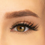 PAC Studio Ace Of Lashes - Full House - Distacart