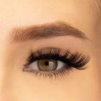 PAC Studio Ace Of Lashes - Big Blind - Distacart