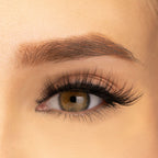 PAC Studio Ace Of Lashes - Dealer - Distacart