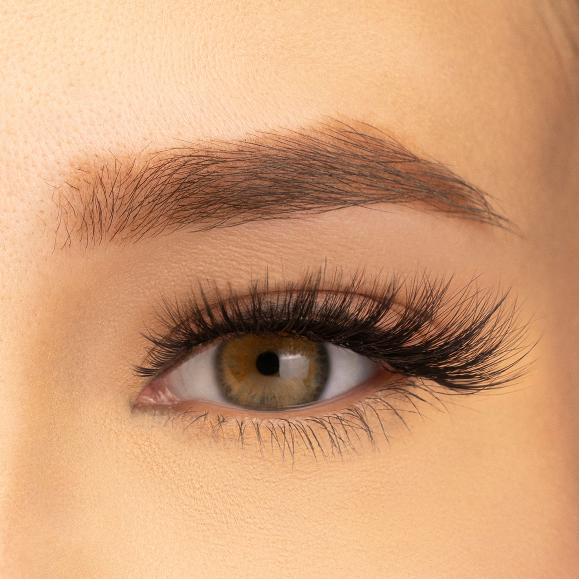 PAC Studio Ace Of Lashes - Quads