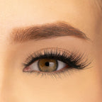 PAC Studio Ace Of Lashes - Trips - Distacart