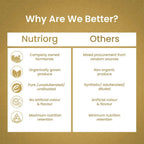 Nutriorg Aloevera Kiwi Juice - Distacart