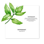 Juicy Chemistry Peppermint Essential Oil