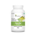 Four Seasons Amla Powder - Distacart
