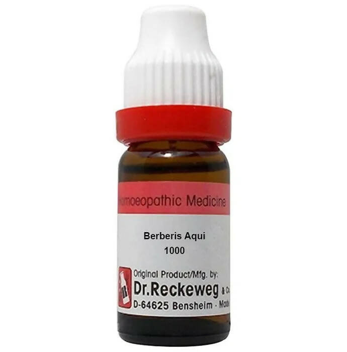 Dr. Reckeweg Berberis Aqui Dilution - Distacart