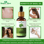 Nature Glow Herbal Basil Essential Oil