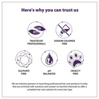 QOD Professional Max Silver Conditioner