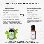 Bella Vita Organic Basil Essential Oil