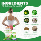 Divya Shree Kidney Detox Capsule & Syrup Combo - Distacart