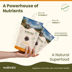 Wellwith Sea Buckthorn Dry Berry