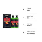 Aravli Beaute Blanc Fruit Vinegar Gel Hair Color - Natural Black - Distacart