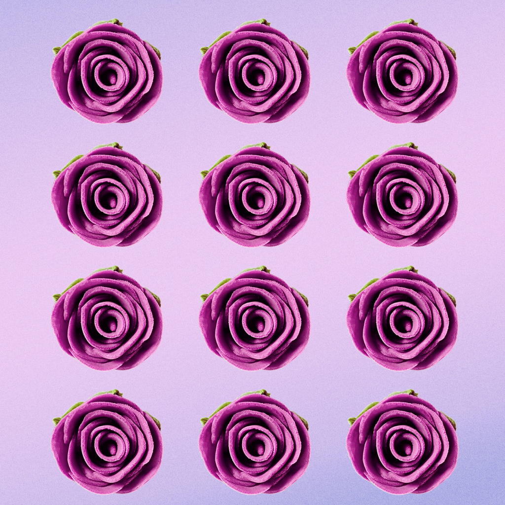 sugar roses for cake cupcake decoration fuchsia pink 120 gms