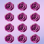 sugar roses for cake cupcake decoration fuchsia pink 120 gms