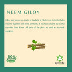 Ayurvedix Neem Giloy Ark - Distacart