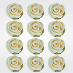 sugar roses for cake cupcake decoration ivory 120 gms