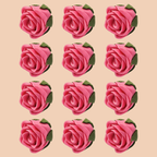 confect sugar roses topper sugar roses for cake decorations edible flamingo rose pink roses pack of 12
