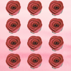 sugar roses for cake cupcake decoration magenta 120 gms