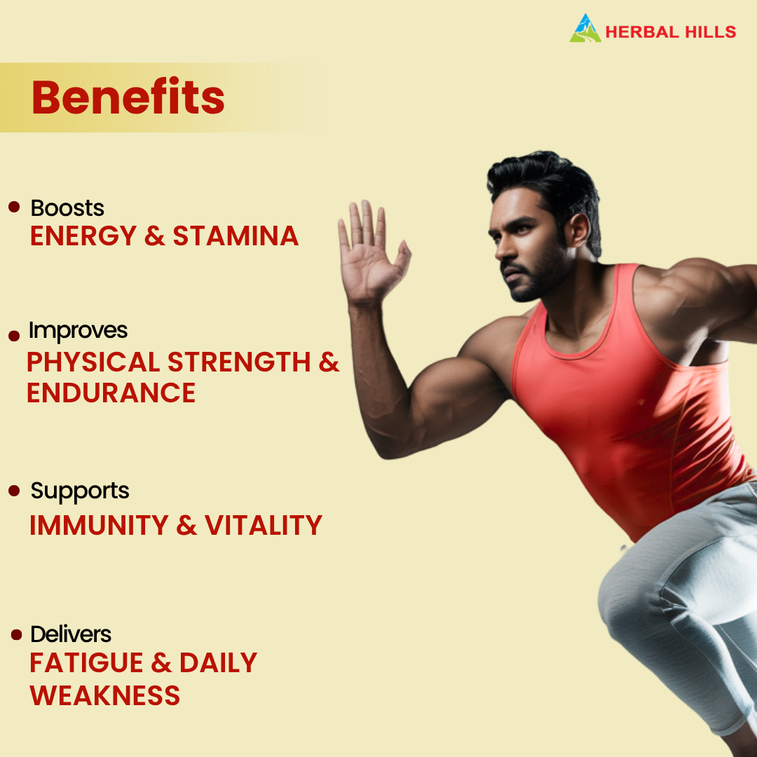 Herbal Hills Sjills Suspension Vitality Support Syrup - Distacart