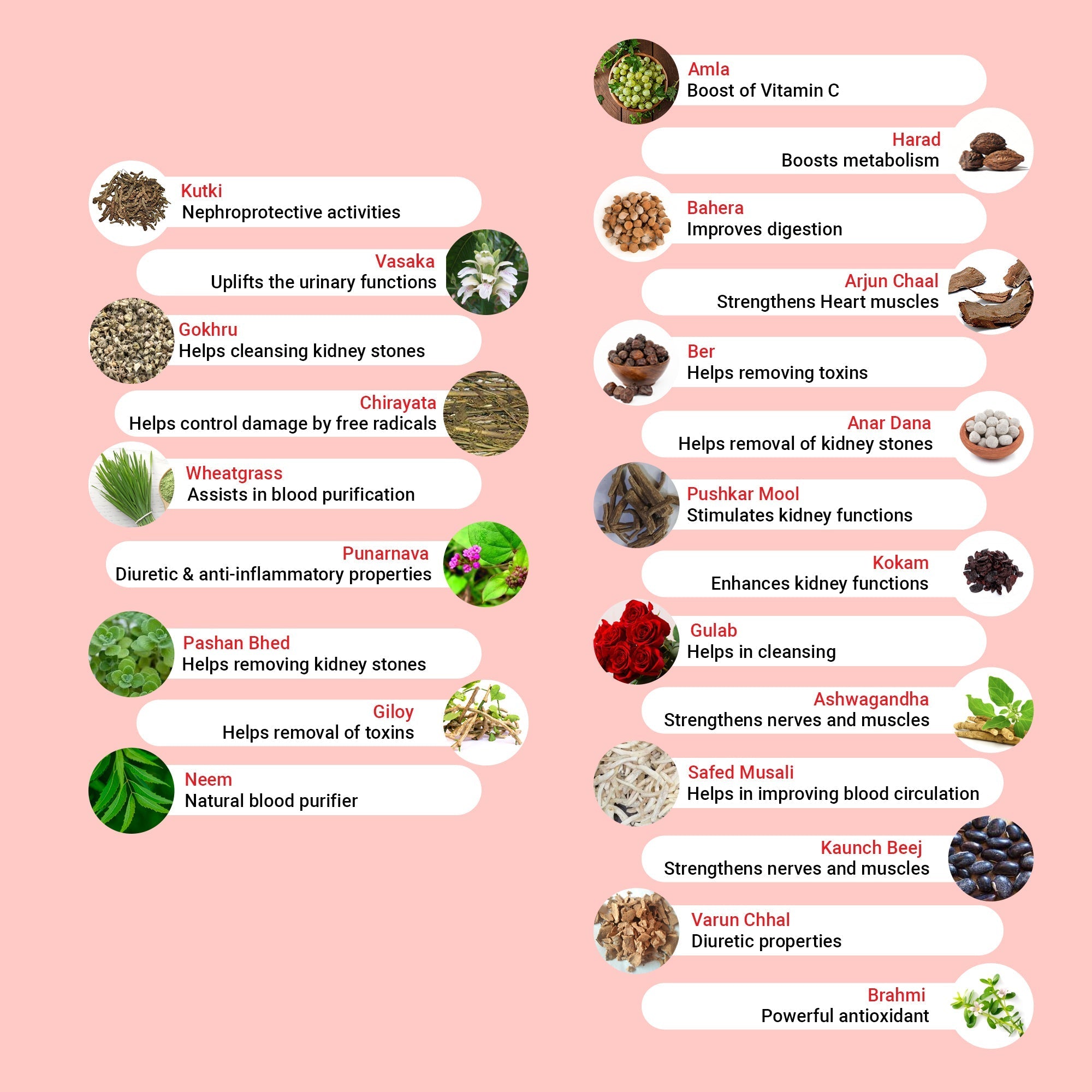 Krishna'S Herbal & Ayurveda Kidney Re-Live Tablets