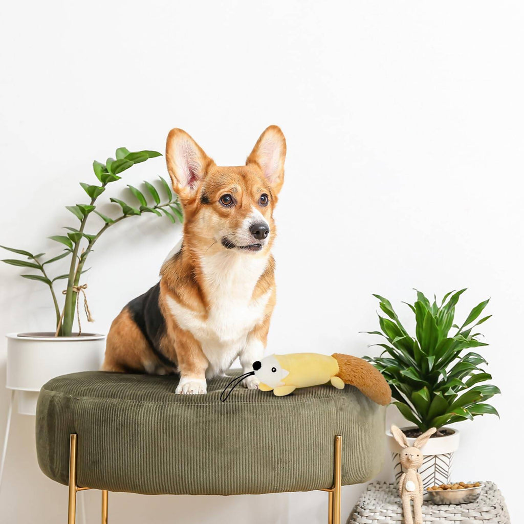 Soft Plush Toy for Pets