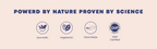 Shivamastu Ayurveda Hingvastak Powder - Distacart