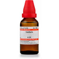 Dr. Willmar Schwabe India Cantharis Dilution