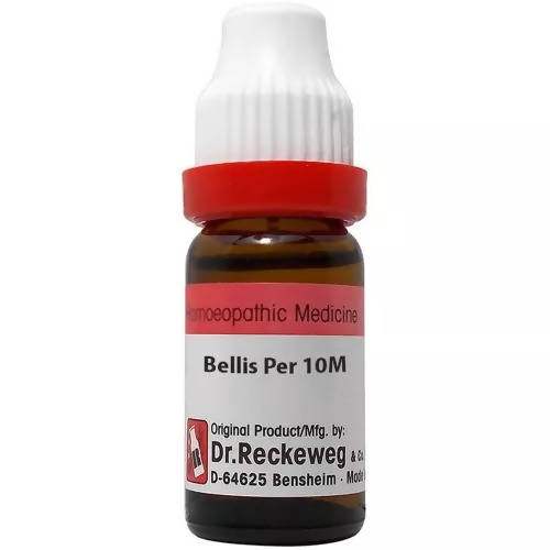 Dr. Reckeweg Bellis Per Dilution - Distacart