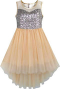Asmaani Baby Girl's Satin Midi Length Frock (AS-DRESS-22121)