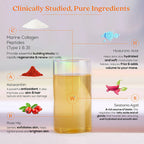 Wellbeing Nutrition Beauty Korean Marine Collagen Peptides-Mango Peach Flavor - Distacart