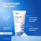 Plum 2% Niacinamide and Rice Water Face Wash and Moisturiser - Distacart