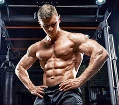 Vokin Biotech 100% Natural Max Power 800MG (60 Capsules) Testosterone Booster And Bodybuilding Supplement