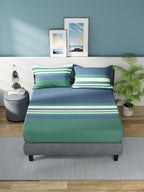 Nautica Bradford Blue & Green Striped 160 TC Pure Cotton King Bedsheet & 2 Pillow Covers